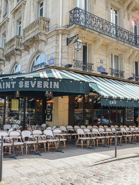 Le Studio Emma Roux a décoré et créé l'identité visuelle de la Brasserie Le Saint Séverin de Paris. Cartes, Logo et Menu.