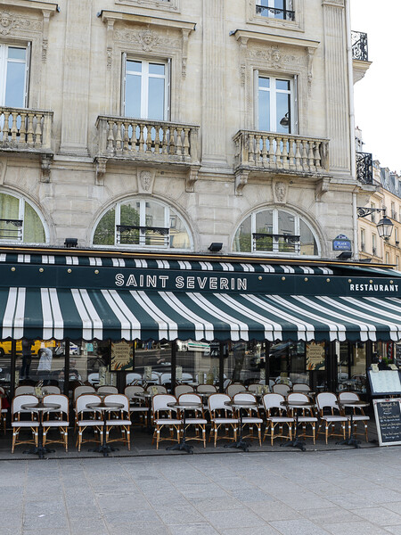 Le Studio Emma Roux a réalisé la décoration et l'identité visuelle de la Brasserie Le Saint Séverin de Paris. Mobilier, luminaire, comptoir, toilettes.